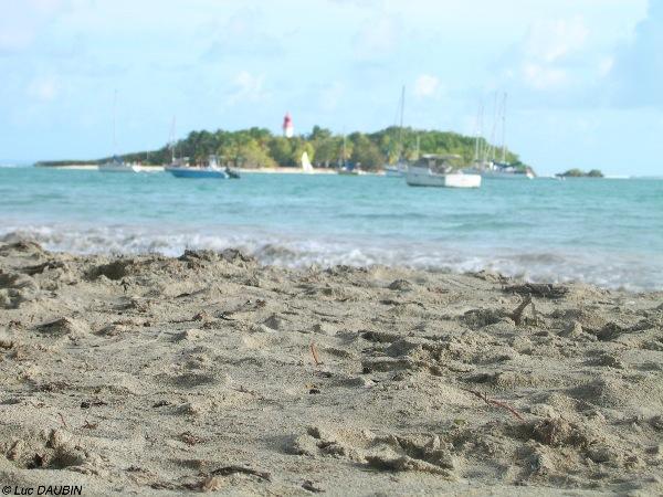 Vue sur l'ilet Gosier.JPG